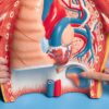 Kidney Stone Treatment