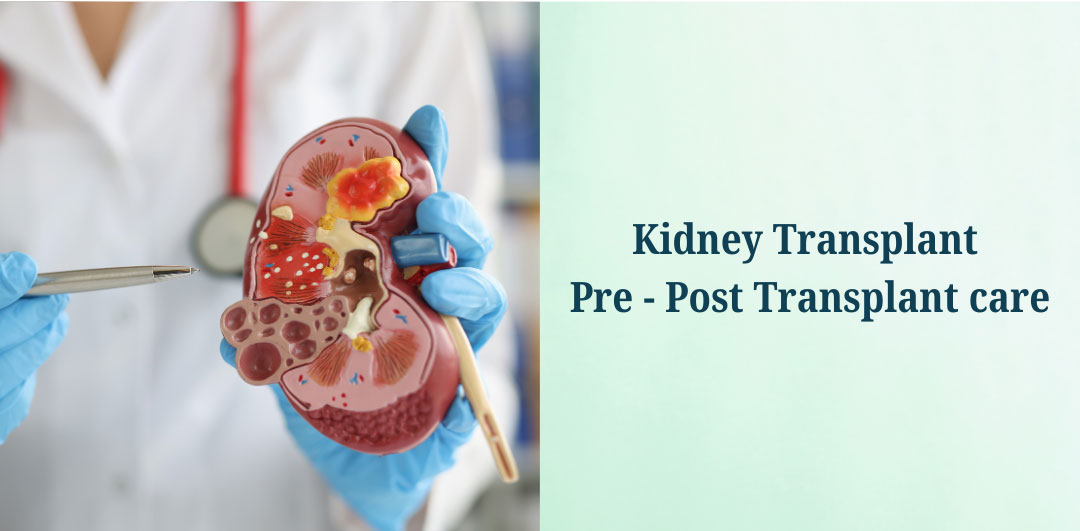 Kidney Transplant & Pre/Post-Transplant Care