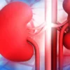 Kidney Problems: Early Signs, Causes, and Treatment Options