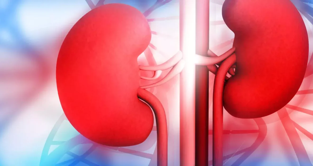 Kidney Problems: Early Signs, Causes, and Treatment Options