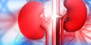 Kidney Problems: Early Signs, Causes, and Treatment Options